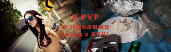 бошки Белокуриха