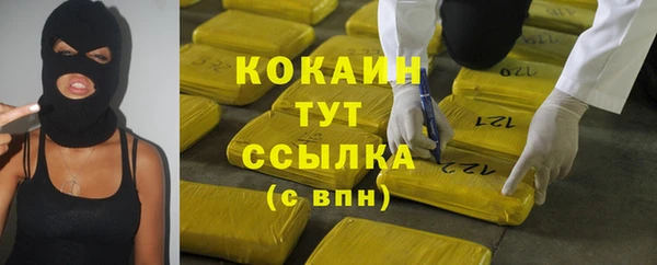 бошки Белокуриха