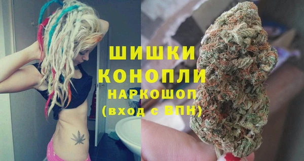 бошки Белокуриха