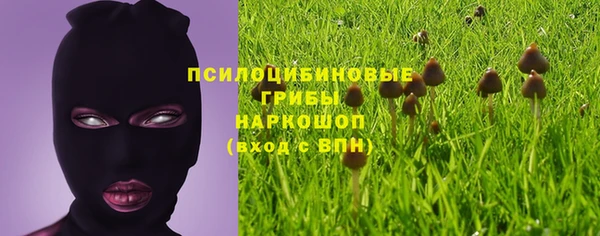 бошки Белокуриха