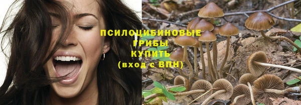бошки Белокуриха
