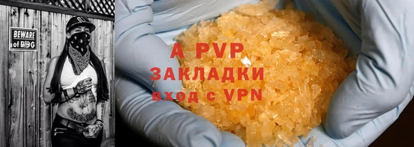 бошки Белокуриха